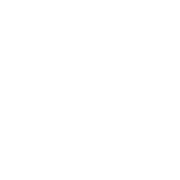 Client 11