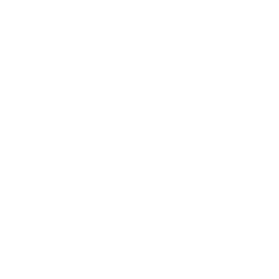 Client 15