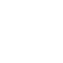 Client 28