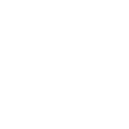 Client 38