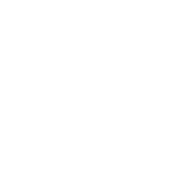 Client 41