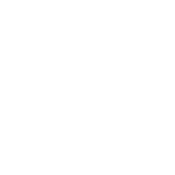 Client 6