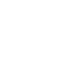 Client 66
