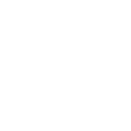 Client 7