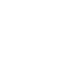 Client 73